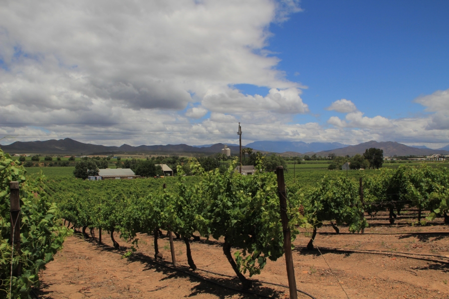 6 Bedroom Property for Sale in Ashton Western Cape